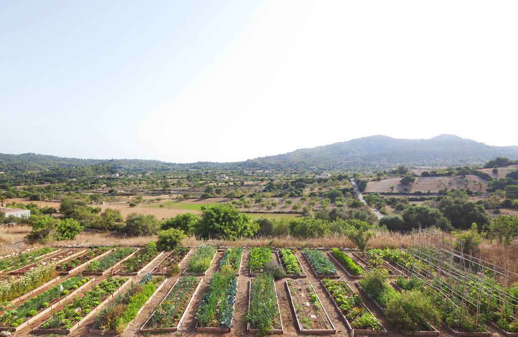 Agroturismo Ses Cases De Fetget (Adults Only) Son Servera  Exterior photo